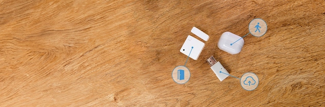 shelly bundle shelly bundle