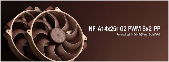 Noctua Noctua