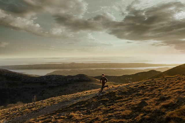 Garmin fenix 8 AMOLED Garmin fenix 8 AMOLED