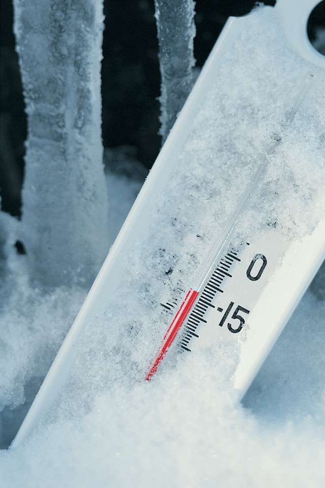 Freezerguard Freezerguard