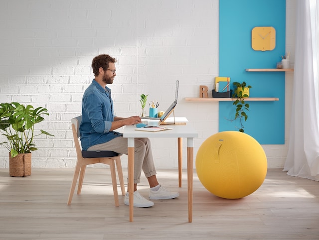 Leitz Ergo Cosy Sittepute Leitz Ergo Cosy Sittepute