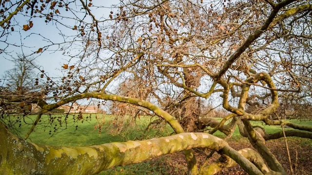 Bilde på modul 3 Bilde på modul 3