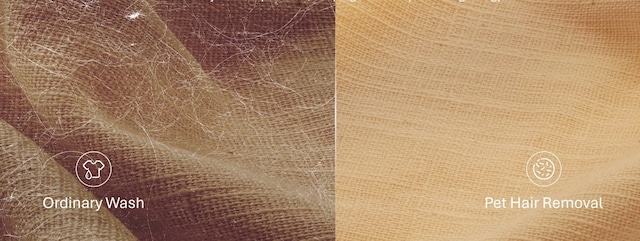 pet hair removal pet hair removal