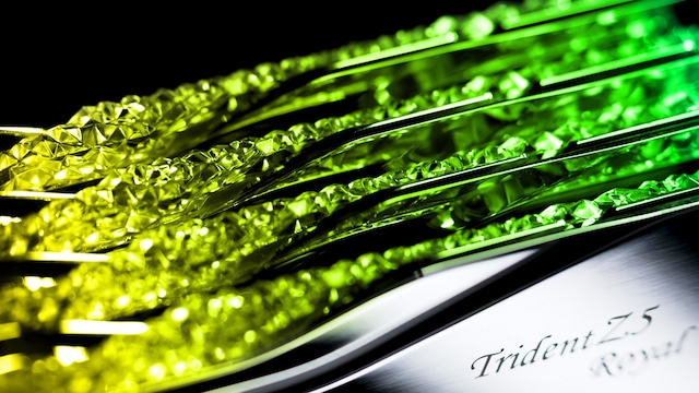 G.Skill Trident Z5 Royal Neo G.Skill Trident Z5 Royal Neo