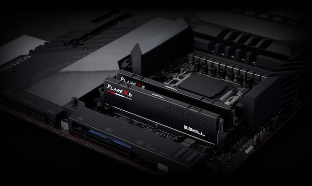 G.Skill Flare X5