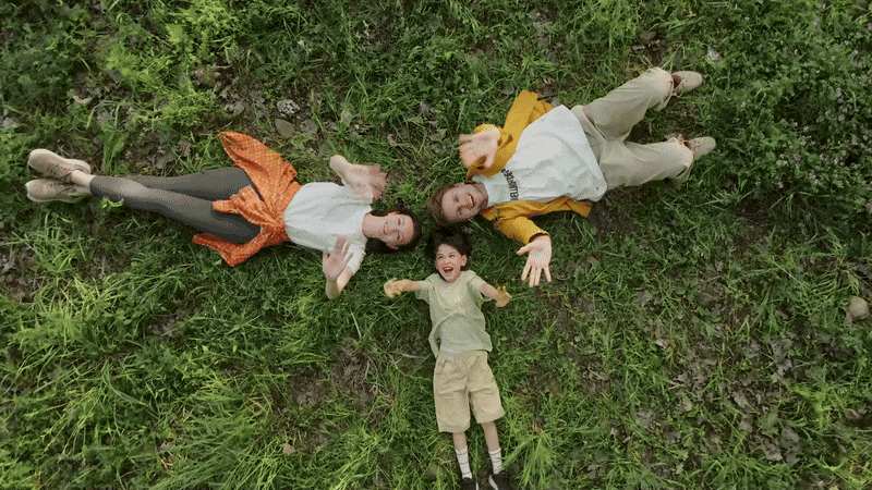 birds eye mode birds eye mode