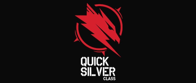 XFX Quicksilver AMD Radeon RX 9000 XFX Quicksilver AMD Radeon RX 9000