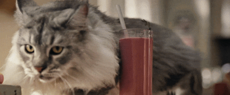 F25 features F25 features